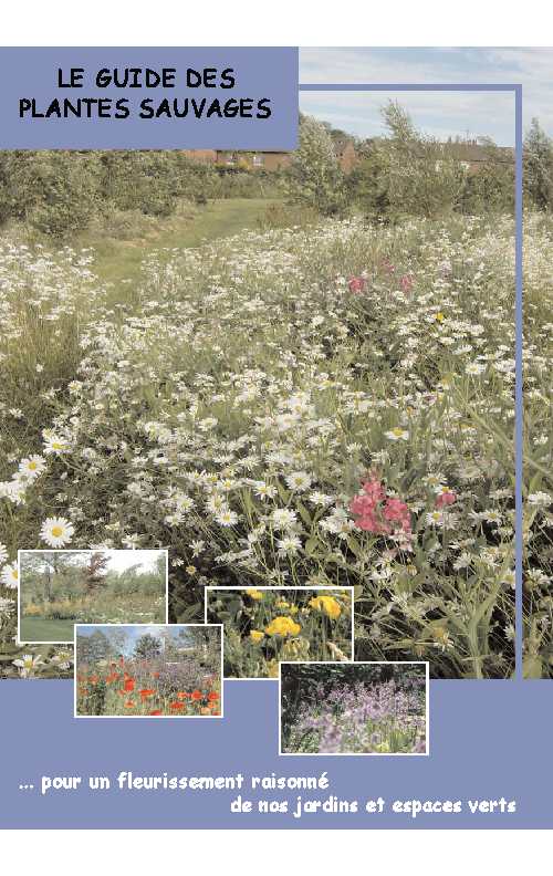 Guide.Des.Plantes.Sauvages