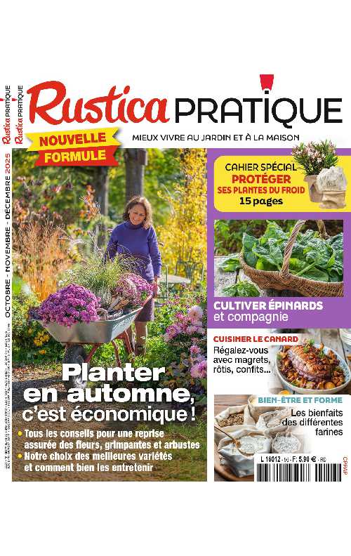 Rustica_2025-10
