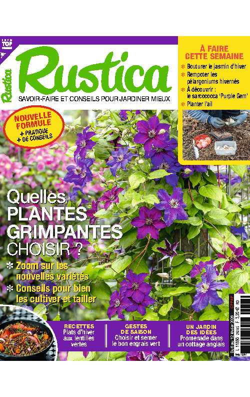 Rustica_2026-02-06