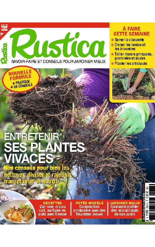 Rustica_2026-02-27
