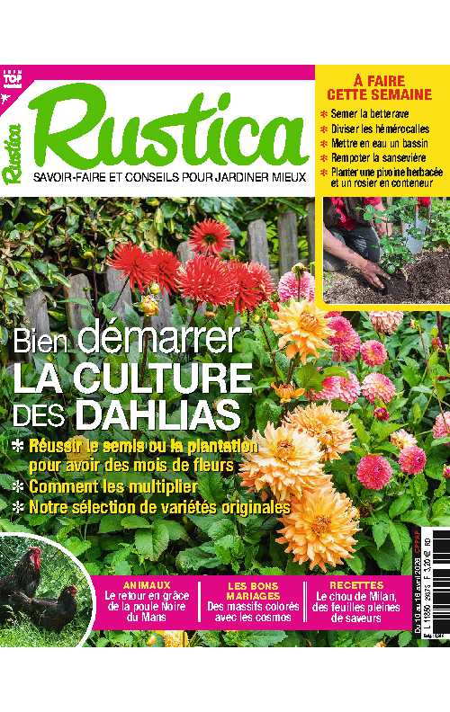 Rustica_2026-04-10