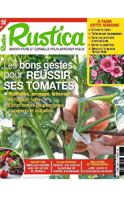 Rustica_2026-06-12